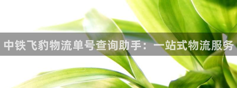 豪门国际cn：中铁飞豹物流单号查询助