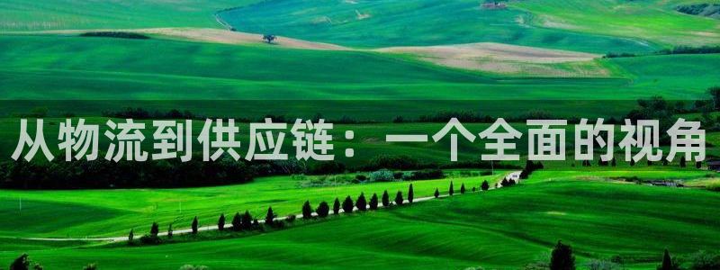 豪门国际ccm官网版：从物流到供应链