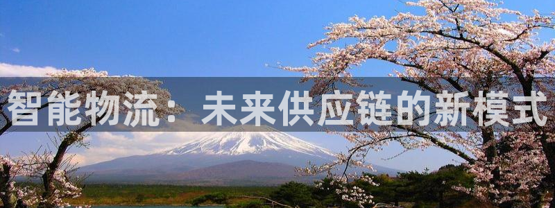 豪门国际p图上分下款通道：智能物流：