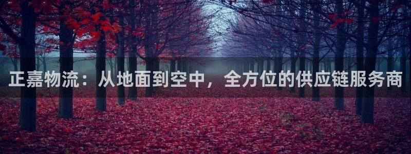 豪门国际官网开奖结果预测：正嘉物流：