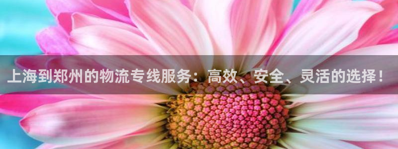 豪门国际是啥：上海到郑州的物流专线服