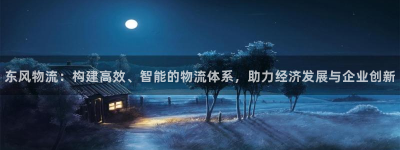 豪门国际激活码：东风物流：构建高效、