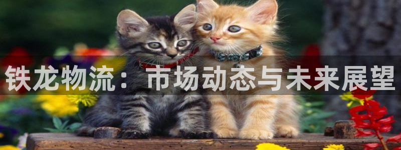 豪门国际官网开奖结果预测：铁龙物流：