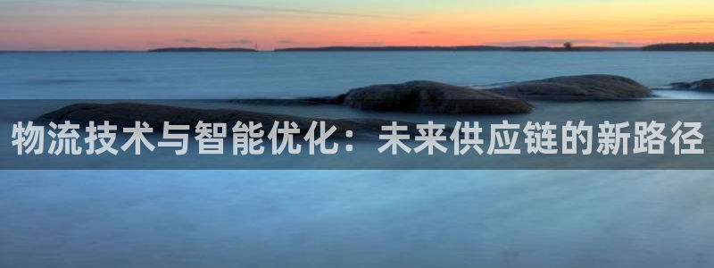 豪门国际加拿大能提现吗：物流技术与智