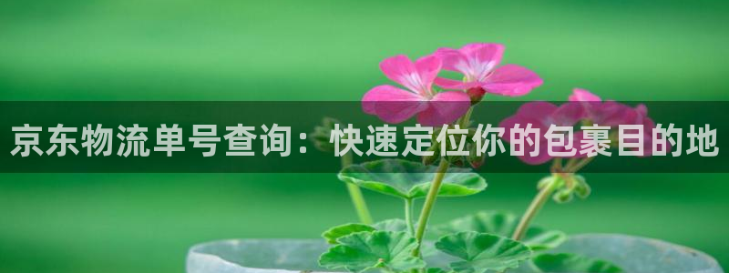 豪门国际app赢了500万：京东物流