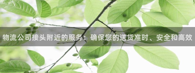 豪门国际app怎么注册账号：物流公司