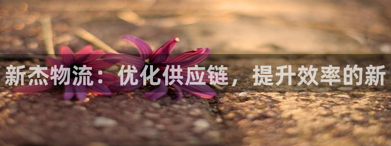豪门国际加拿大能提现吗：新杰物流：优