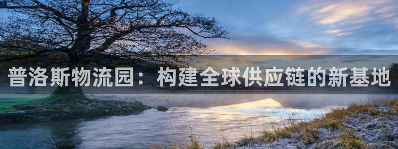 豪门国际注册上限是啥意思：普洛斯物流