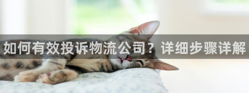 豪门国际注册登录：如何有效投诉物流公