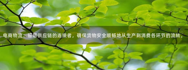豪门国际图片：电商物流：智慧供应链的