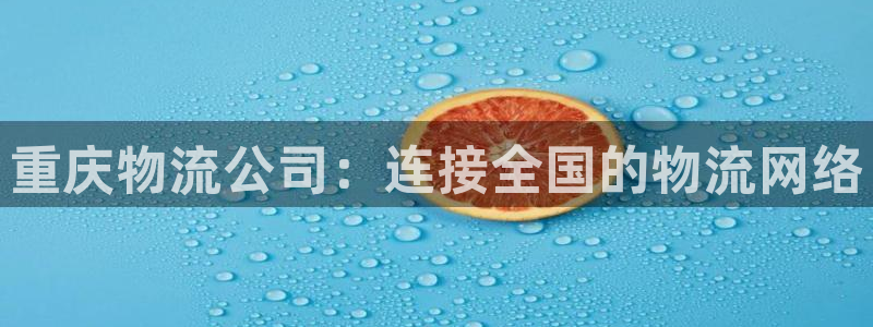豪门国际游戏链接：重庆物流公司：连接