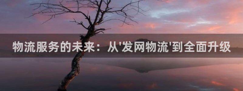 豪门国际加拿大最新版：物流服务的未来