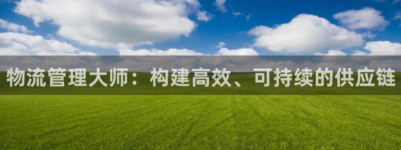 豪门国际app怎么注册账号：物流管理大师：构建高效、可持续的