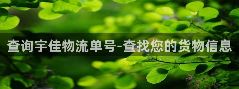 豪门国际分分28输了能不能退