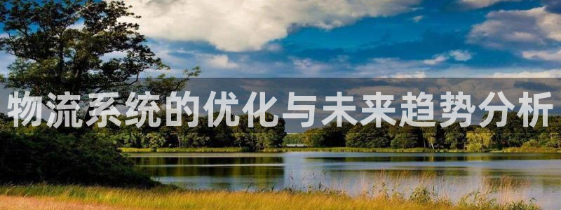 豪门国际游戏：物流系统的优化与未来趋