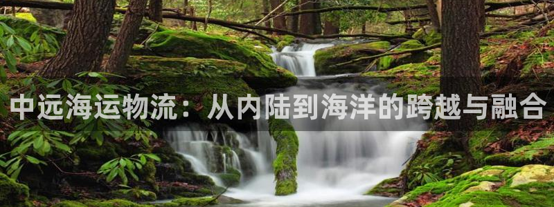豪门国际官网入口app：中远海运物流