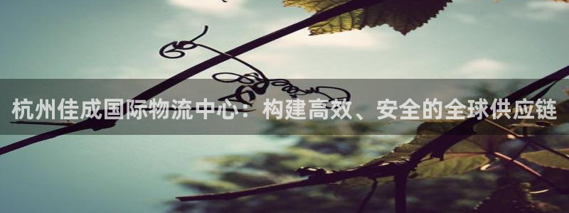 豪门国际百度百科：杭州佳成国际物流中