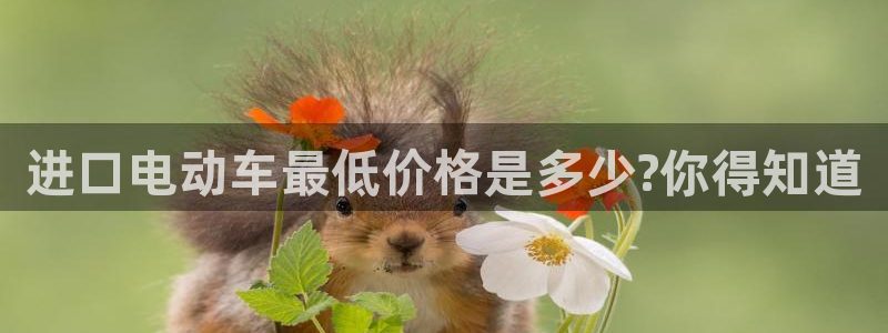 豪门国际链接多少:进口电动车最低价格