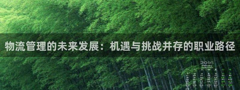 豪门国际哪个最赚钱:物流管理的未来发