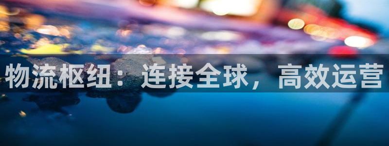 豪门国际模拟器:物流枢纽:连接全球,