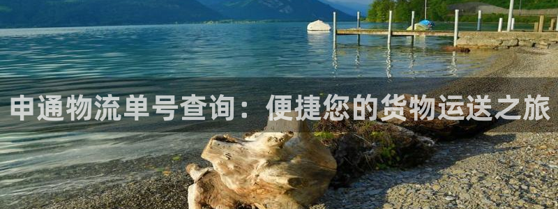 豪门国际机器人是什么软件:申通物流单