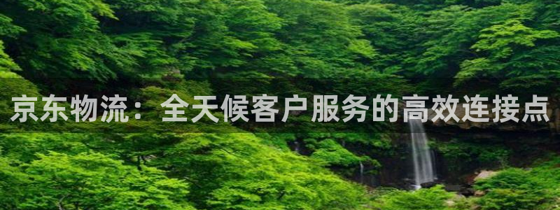 豪门国际推广链接是多少个:京东物流: