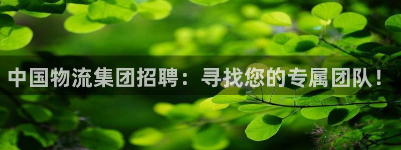 豪门国际官网下载多少钱一个：中国物流