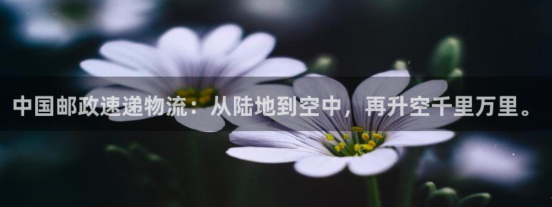 豪门国际加拿大走势：中国邮政速递物流